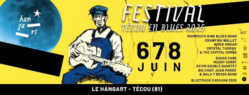 FESTIVAL TÉCOU EN BLUES